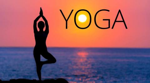 A silhouette of a person doing a tree pose with their hand above their head, palms touching. There is a sunset in front of a large body of water and the word YOGA in all capital letters.