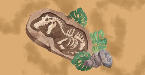Fossil Detectives