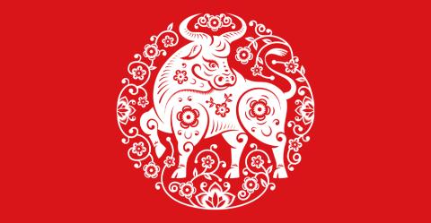 The Chinese Art of Papercutting