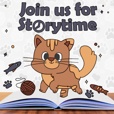 November Storytime Cat