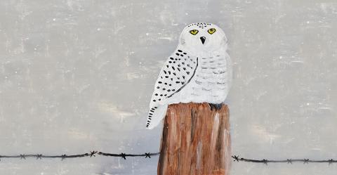 U Make: Snowy Owl Painting