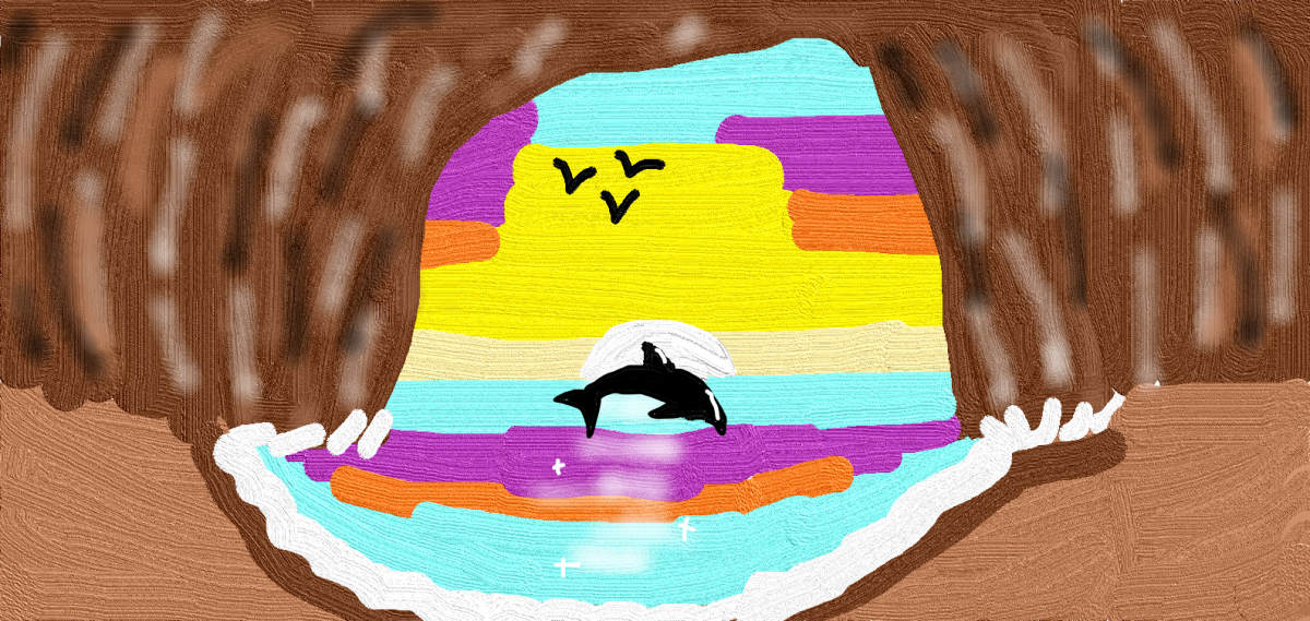 A hidden beachfront view of a sunset with birds and a dolphin.