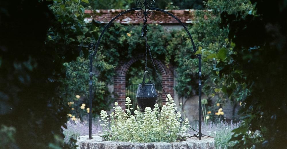 Poetry in the Garden